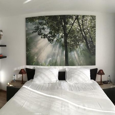 Apartment Gronau Gronau  Ngoại thất bức ảnh