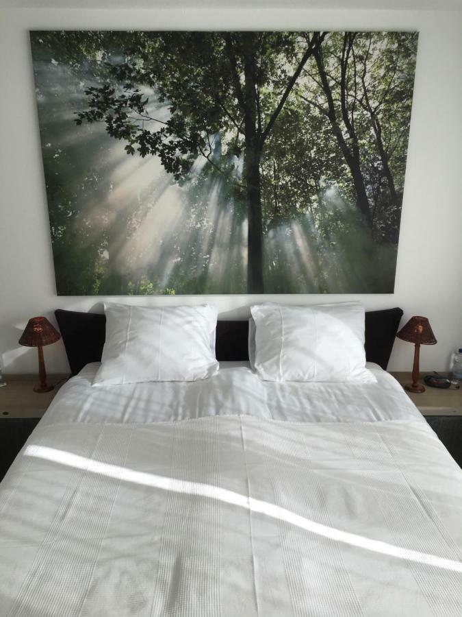 Apartment Gronau Gronau  Ngoại thất bức ảnh